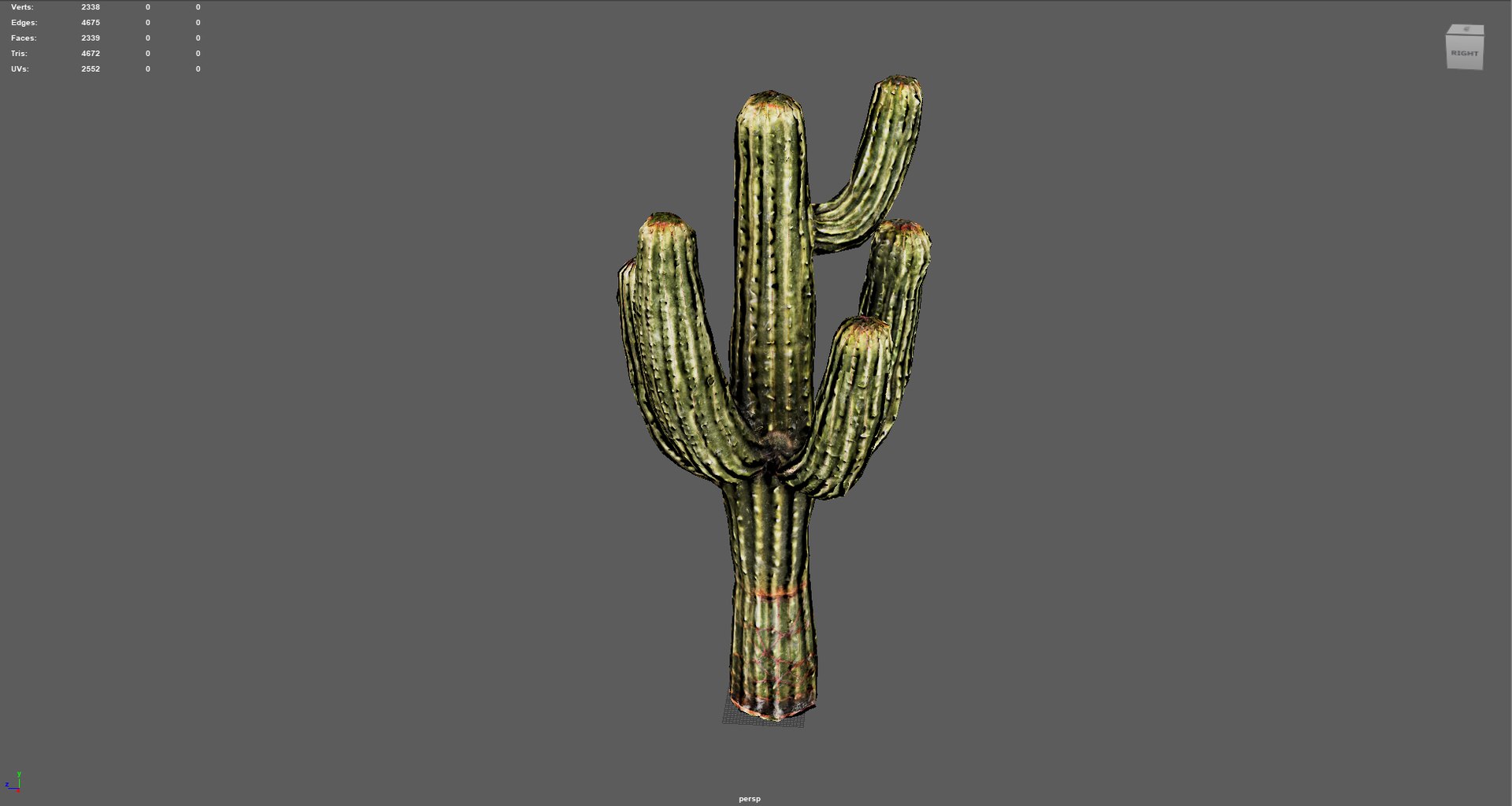 3D Desert Sentinel  Realistic Low Poly Cactus 4K PBR Textures  Game Ready https://p.turbosquid.com/ts-thumb/L5/X49SeG/DM/render1/jpg/1760721433/1920x1080/fit_q87/ebc06c6ccb1a4ecca0c3a52844052a3767ef57b8/render1.jpg