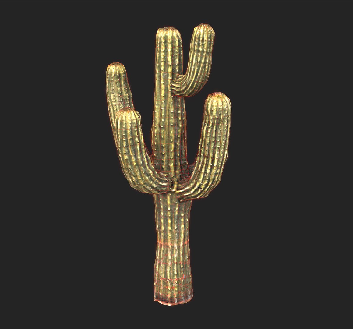 3D Desert Sentinel  Realistic Low Poly Cactus 4K PBR Textures  Game Ready https://p.turbosquid.com/ts-thumb/L5/X49SeG/Zk/wire/jpg/1760721436/1920x1080/fit_q87/66e4419e4c140efef84a2eb43f6c65a39d5d30d5/wire.jpg
