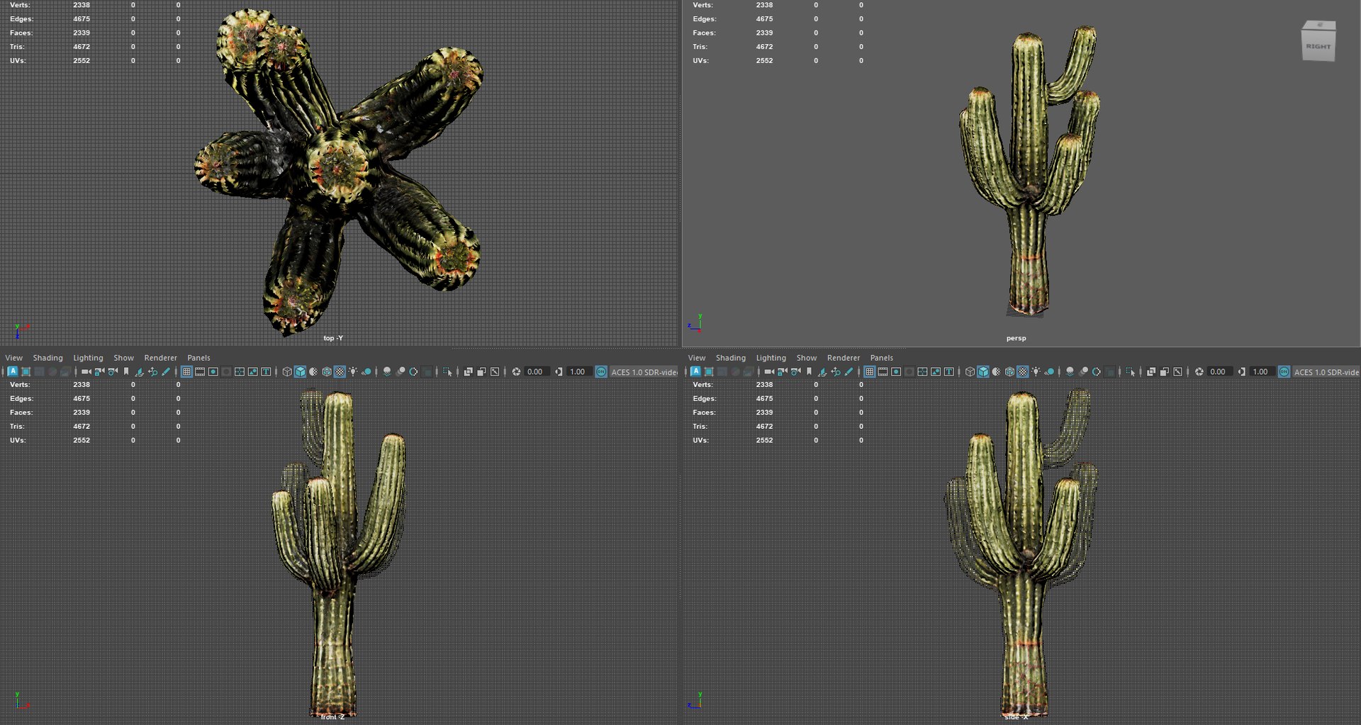3D Desert Sentinel  Realistic Low Poly Cactus 4K PBR Textures  Game Ready https://p.turbosquid.com/ts-thumb/L5/X49SeG/al/render4/jpg/1760721434/1920x1080/fit_q87/6b27618a9b7cea9a3971dce4d24eddb4ca253cba/render4.jpg
