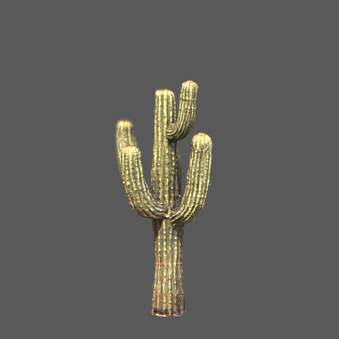 3D Desert Sentinel  Realistic Low Poly Cactus 4K PBR Textures  Game Ready https://p.turbosquid.com/ts-thumb/L5/X49SeG/fJ/r5/jpg/1760721432/1920x1080/fit_q87/d6ec8d276a00804152dfc90a5f2dfb18e2e0d335/r5.jpg