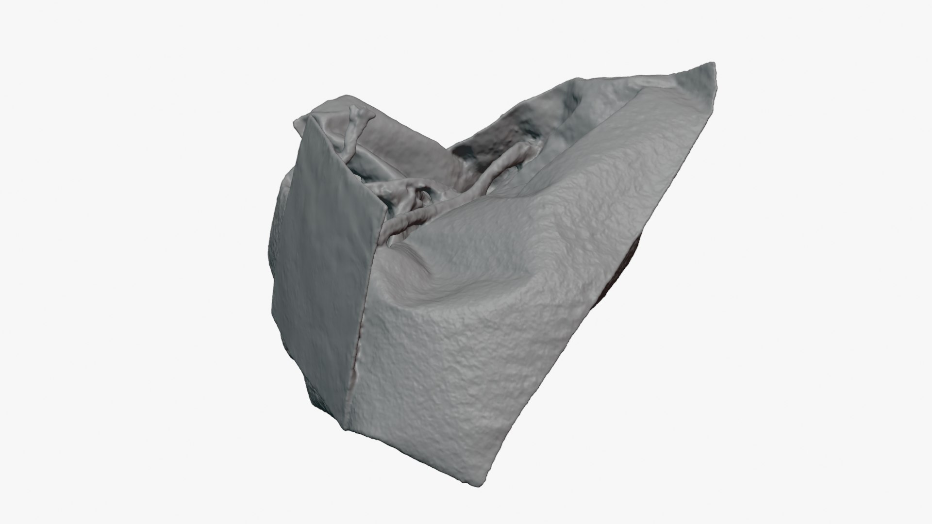 3D Green Tea Bag 01 for 3D Print model https://p.turbosquid.com/ts-thumb/L5/hznFry/DM/greenteabag01_0008/png/1755365494/1920x1080/fit_q87/3007167f231fad512e445a24a1453fd2b18a7e4e/greenteabag01_0008.jpg