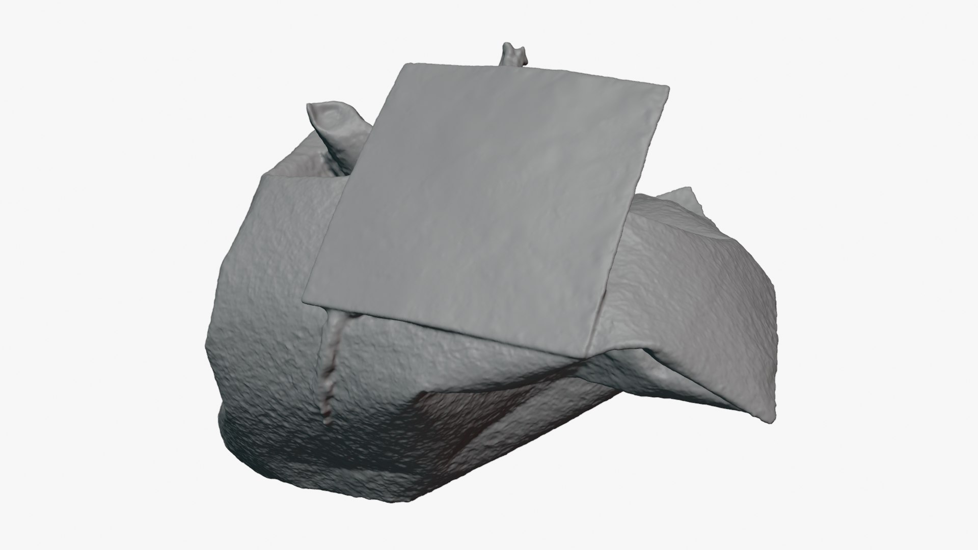 3D Green Tea Bag 01 for 3D Print model https://p.turbosquid.com/ts-thumb/L5/hznFry/gj/greenteabag01_0011/png/1755365499/1920x1080/fit_q87/64ba5c4d3d2d1b248f0c192eddeea2da6234cbca/greenteabag01_0011.jpg