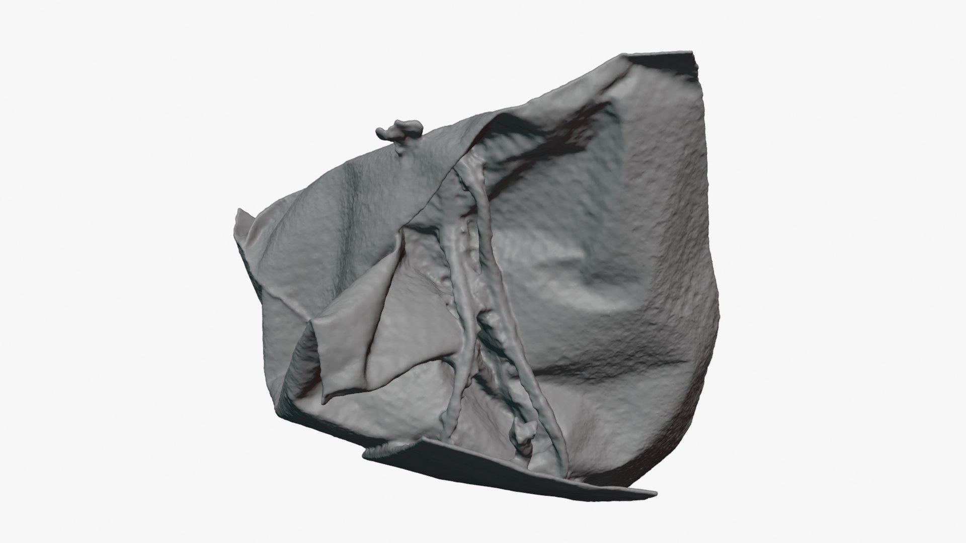 3D Green Tea Bag 01 for 3D Print model https://p.turbosquid.com/ts-thumb/L5/hznFry/jr/greenteabag01_0004/png/1755365489/1920x1080/fit_q87/c03268ffc4da306163e2c62a6bfde012c6aa7cff/greenteabag01_0004.jpg