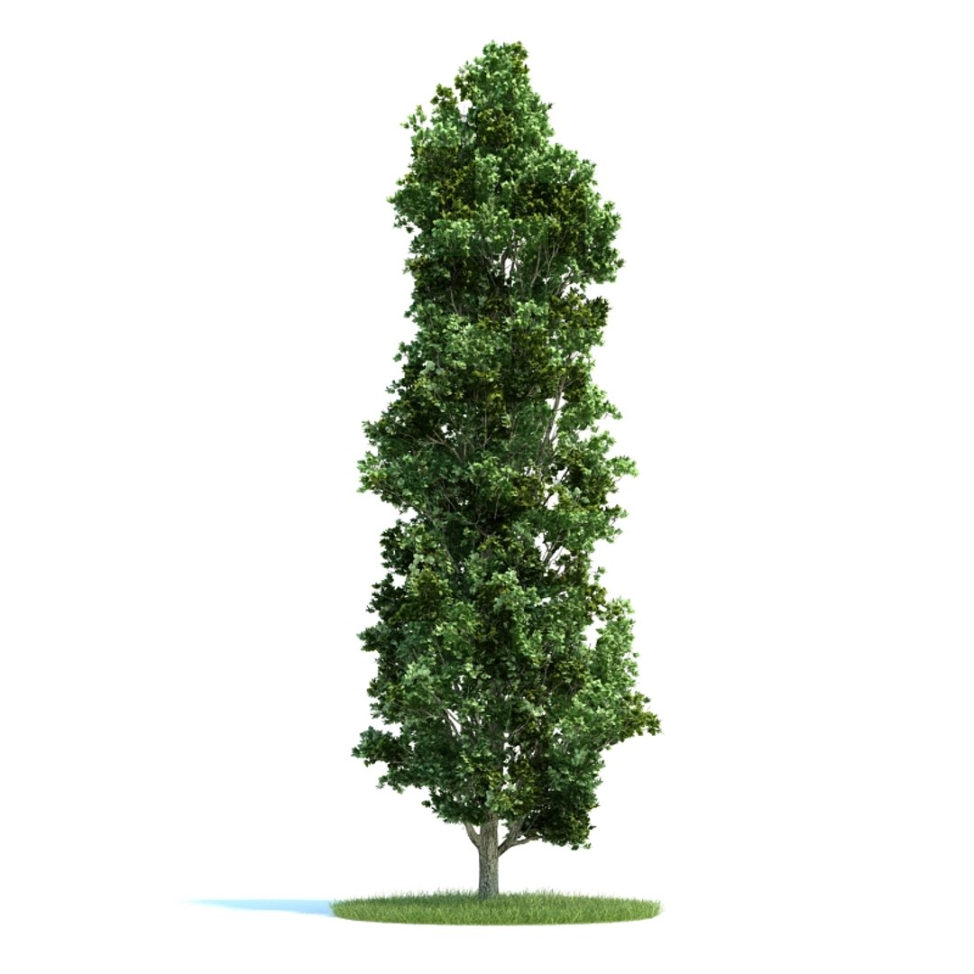 3d archmodels vol 58 trees model https...