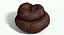 Turd Poop Dung Crap Pile