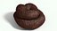 Turd Poop Dung Crap Pile