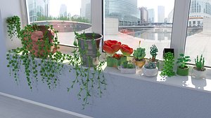 Rare succulents pack 3D