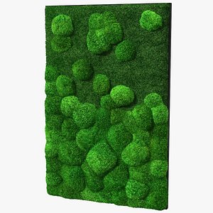 Evergreen Moss Vertical Garden Fur