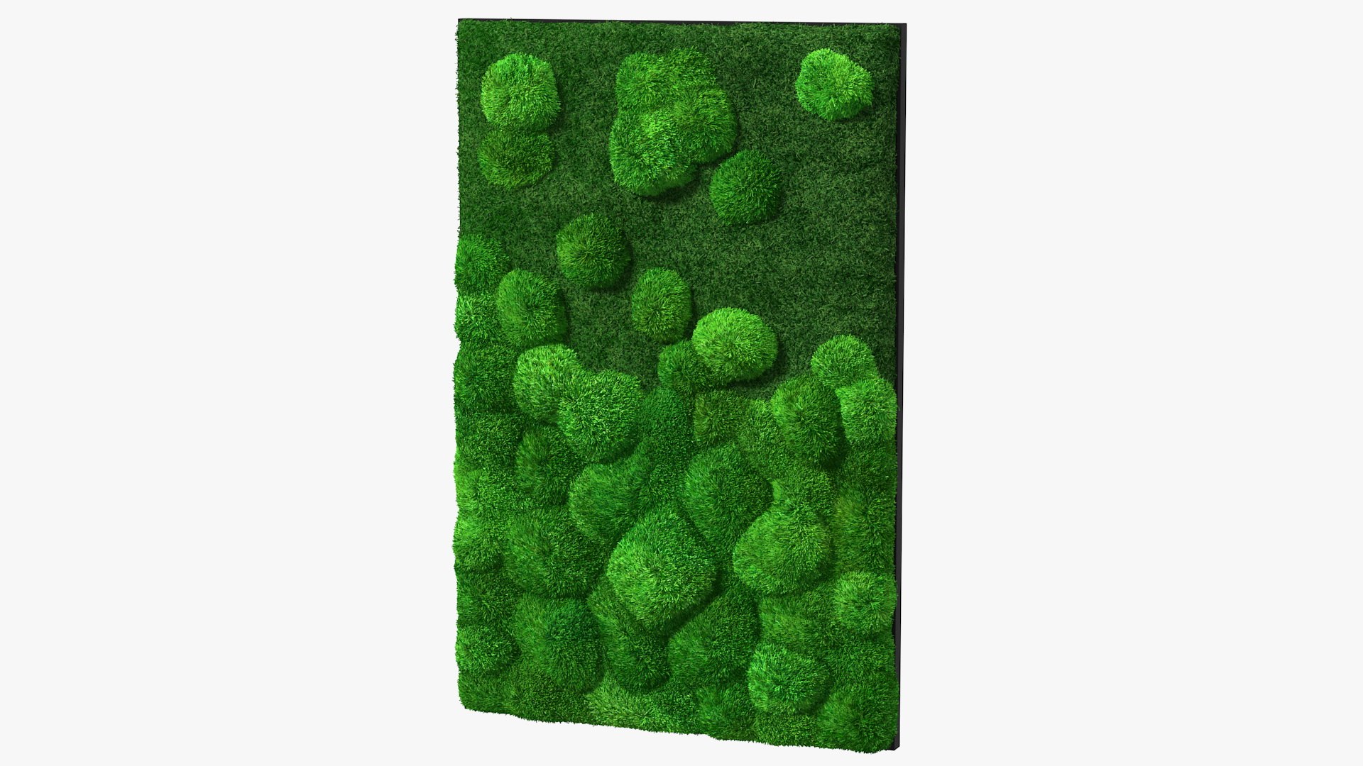 Evergreen Moss Vertical Garden Fur 3D model preview