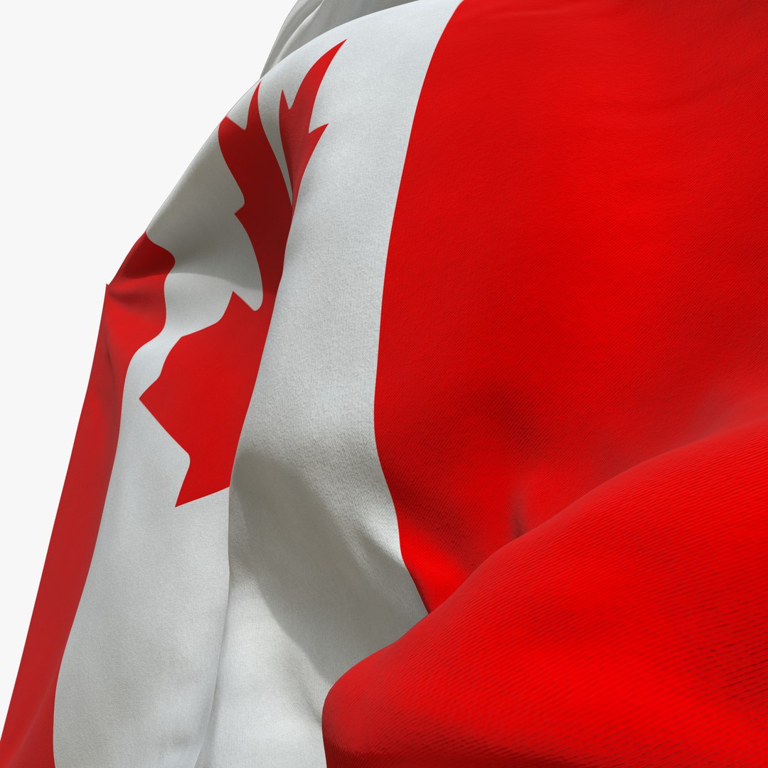 Realistic Animated Flag - Microtexture Rigged - Put your own texture - Def Canada 3D model https://p.turbosquid.com/ts-thumb/L5/wW1CVs/gs/flag_ps_04/png/1631069865/1920x1080/fit_q87/d6fd471d5d5122a5c2bbc728bcf92712d90db50f/flag_ps_04.jpg
