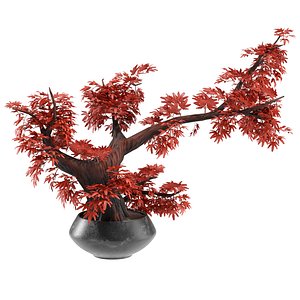 3D Red decorative tree bonsai model