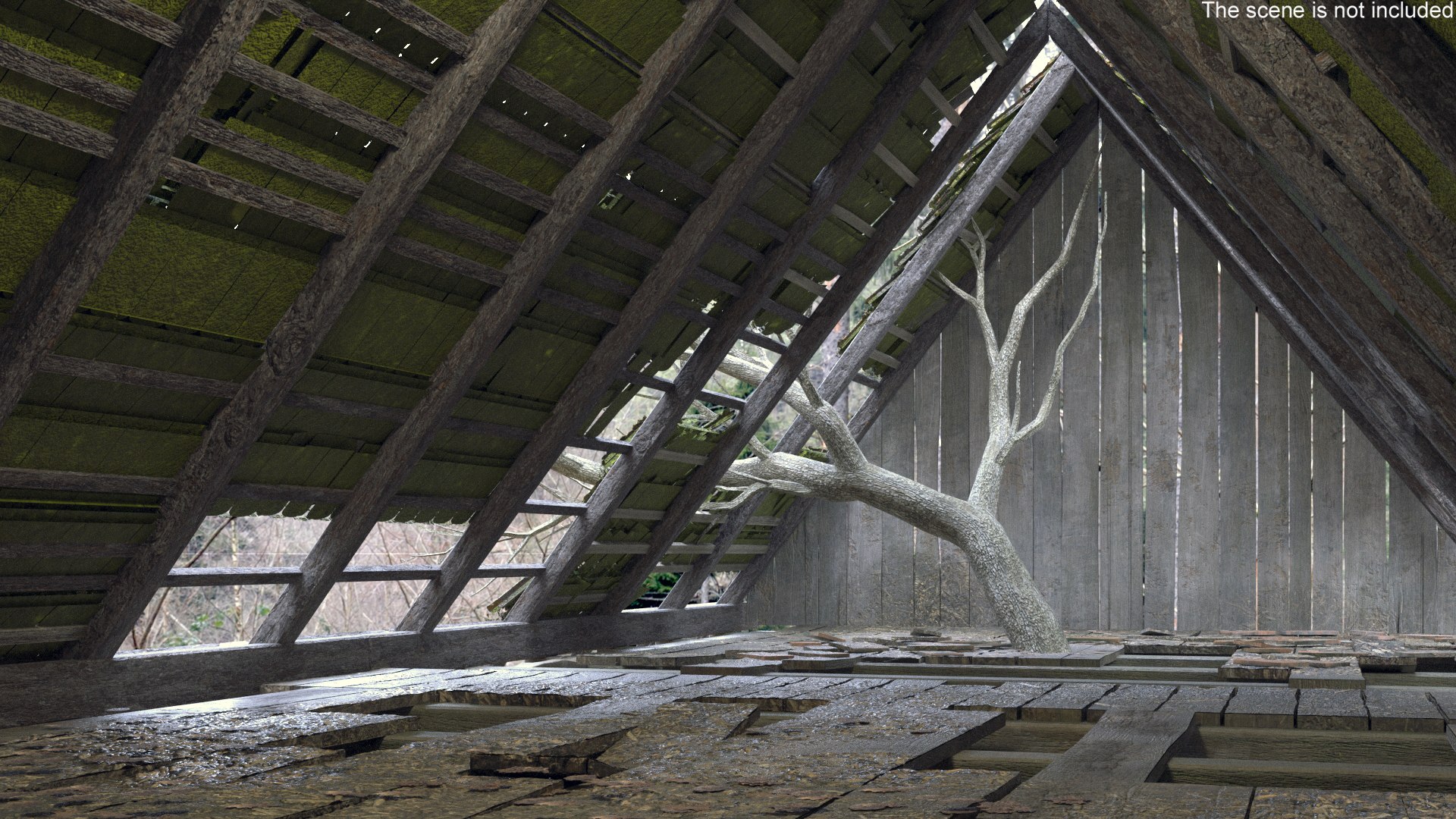 3D Aged Abandoned Boarded Up Hut model https://p.turbosquid.com/ts-thumb/L5/zDxc2M/TY/aged_abandoned_boarded_up_hut_002/jpg/1746065164/1920x1080/fit_q87/8ae5fbf766fbf6f1b96212639f475ffacc23ed4b/aged_abandoned_boarded_up_hut_002.jpg