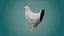 Stylized lowpoly CHICKEN