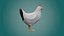 Stylized lowpoly CHICKEN