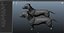 Dachshund Real-Time
