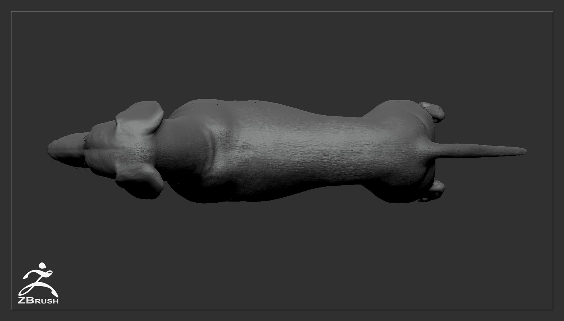 realistic dachshund real-time real time 3ds https://p.turbosquid.com/ts-thumb/L6/Bp36BB/25CtaDj2/dachshund_by_alexlashko_zbrush_04/jpg/1477032229/1920x1080/fit_q87/e13e000748f60ff5ee3373450b9bcb087cf9c811/dachshund_by_alexlashko_zbrush_04.jpg