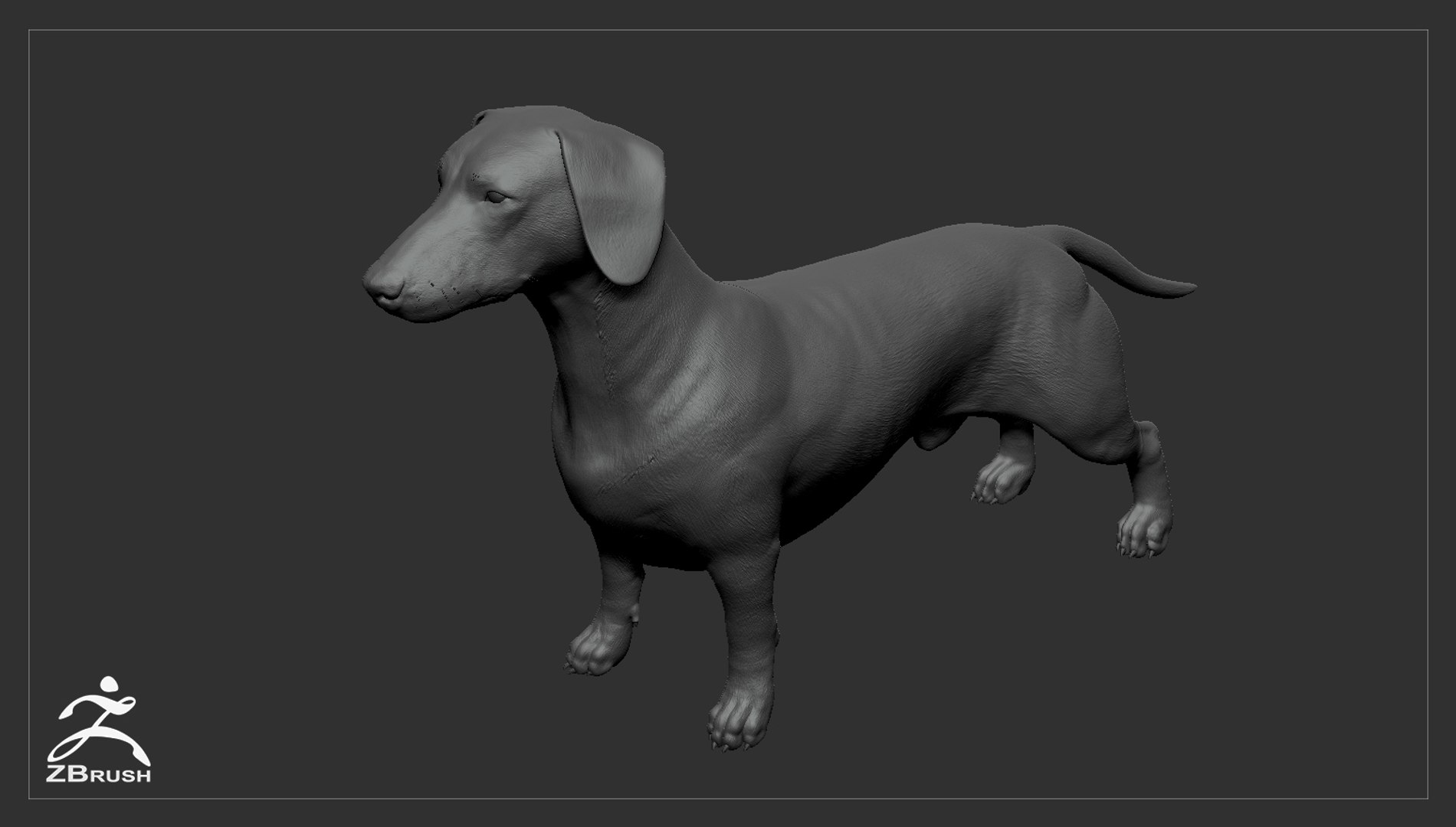 realistic dachshund real-time real time 3ds https://p.turbosquid.com/ts-thumb/L6/Bp36BB/3RCs16qa/dachshund_by_alexlashko_zbrush_03/jpg/1477032229/1920x1080/fit_q87/1117a8c0735ca8ed3df6944a42764595c9ec77c3/dachshund_by_alexlashko_zbrush_03.jpg