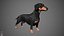 Dachshund Real-Time