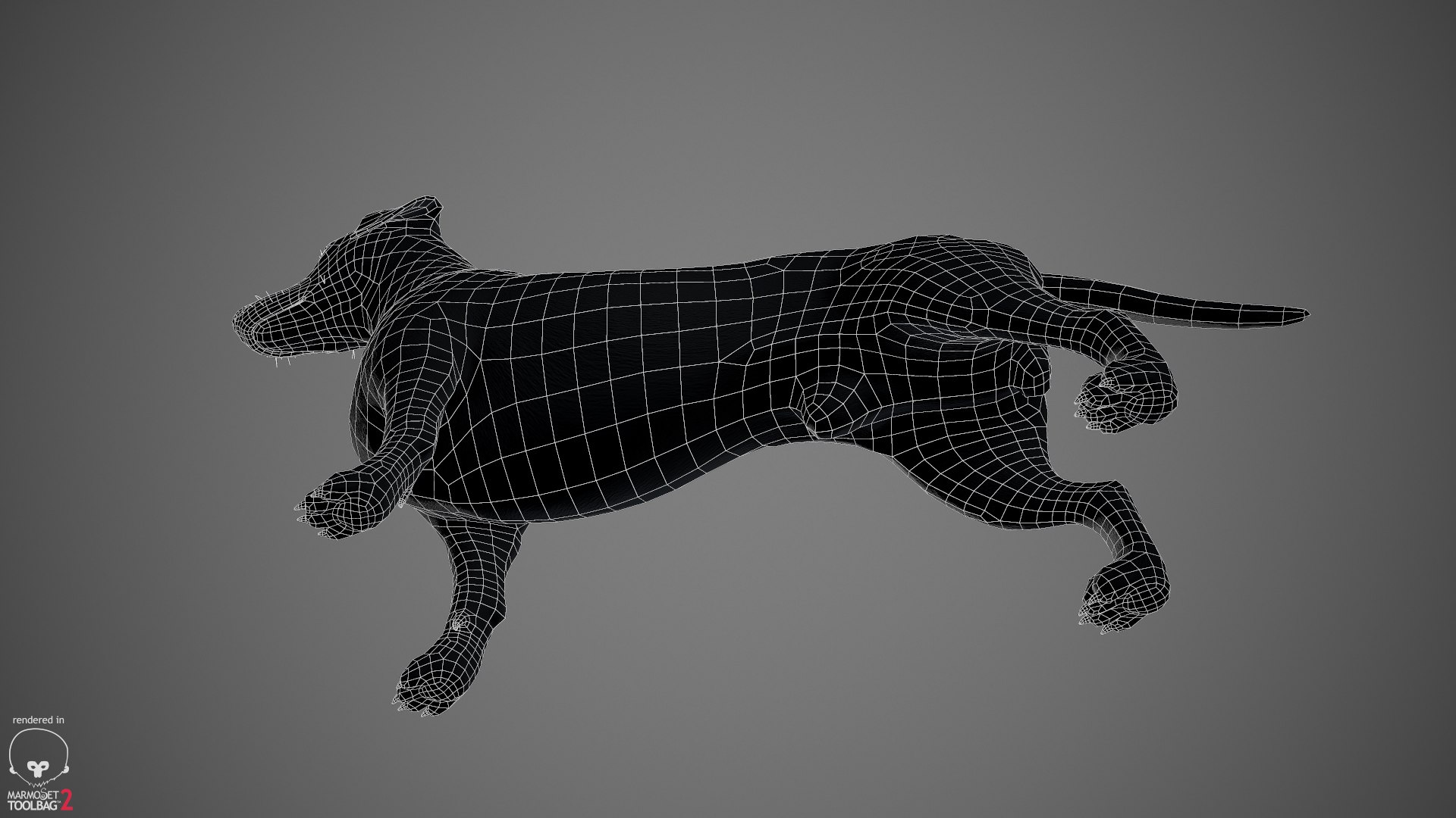 realistic dachshund real-time real time 3ds https://p.turbosquid.com/ts-thumb/L6/Bp36BB/82TLRTTg/dachshund_by_alexlashko_wireframe_07/jpg/1477032115/1920x1080/fit_q87/941868a5c76dc5063d290d30db4e29813fa257d1/dachshund_by_alexlashko_wireframe_07.jpg