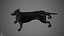 Dachshund Real-Time
