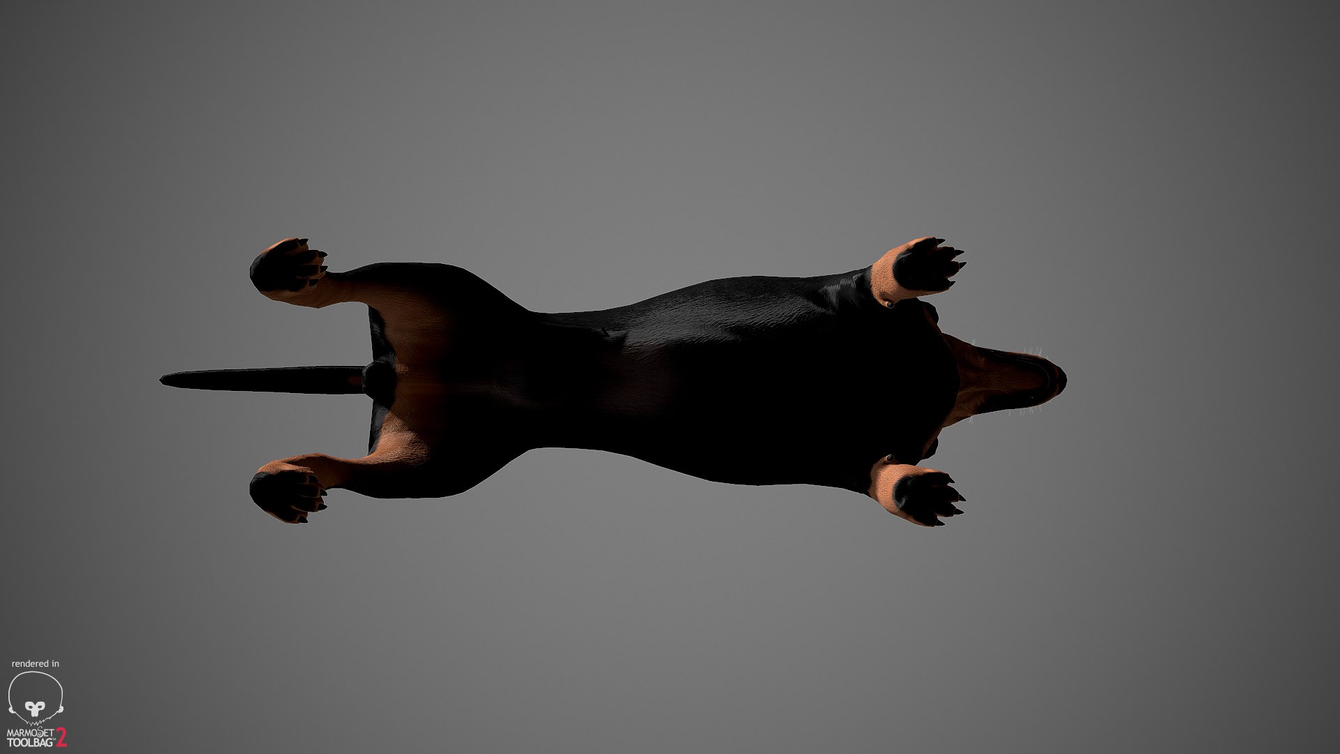realistic dachshund real-time real time 3ds https://p.turbosquid.com/ts-thumb/L6/Bp36BB/Bne8ZlCd/dachshund_by_alexlashko_marmoset_10/jpg/1477031085/1920x1080/fit_q87/15f9ba26095c79183e3e2c738688cf32e915ce3e/dachshund_by_alexlashko_marmoset_10.jpg