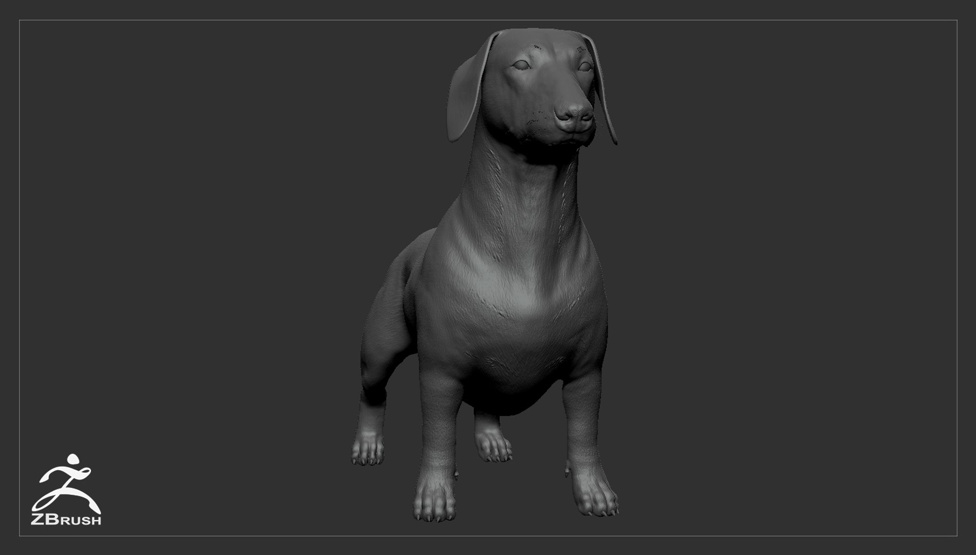realistic dachshund real-time real time 3ds https://p.turbosquid.com/ts-thumb/L6/Bp36BB/DyWibvgf/dachshund_by_alexlashko_zbrush_02/jpg/1477032229/1920x1080/fit_q87/08c1d5c327f048cb83fe51c0313c95ed843bec5a/dachshund_by_alexlashko_zbrush_02.jpg