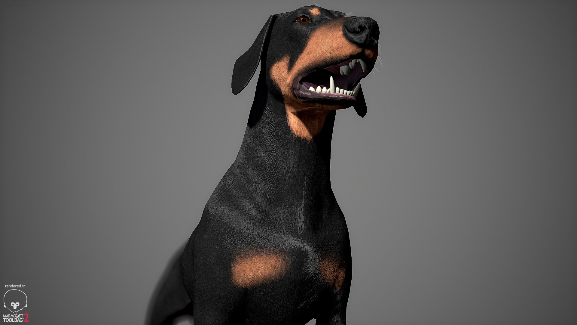 realistic dachshund real-time real time 3ds https://p.turbosquid.com/ts-thumb/L6/Bp36BB/HvePwNGF/dachshund_by_alexlashko_marmoset_17/jpg/1477031085/1920x1080/fit_q87/cbc96753e51d4f78d31eda1f44643584e44db94d/dachshund_by_alexlashko_marmoset_17.jpg