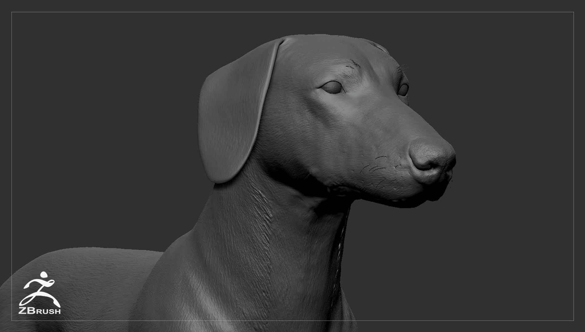 realistic dachshund real-time real time 3ds https://p.turbosquid.com/ts-thumb/L6/Bp36BB/Loouxc8m/dachshund_by_alexlashko_zbrush_06/jpg/1477032229/1920x1080/fit_q87/58b27f01d520b69ad19014ddbc240ee801e79c9f/dachshund_by_alexlashko_zbrush_06.jpg