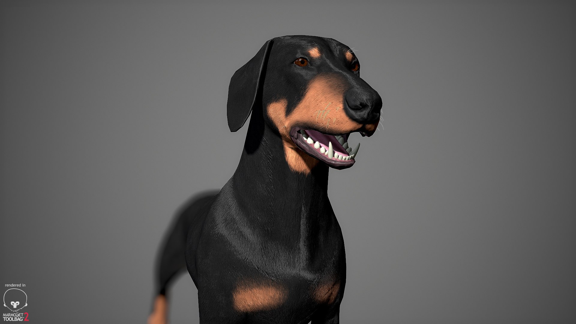 realistic dachshund real-time real time 3ds https://p.turbosquid.com/ts-thumb/L6/Bp36BB/M85nVUkW/dachshund_by_alexlashko_marmoset_16/jpg/1477031085/1920x1080/fit_q87/74854378025715913f688ed024d3597bc4334a91/dachshund_by_alexlashko_marmoset_16.jpg