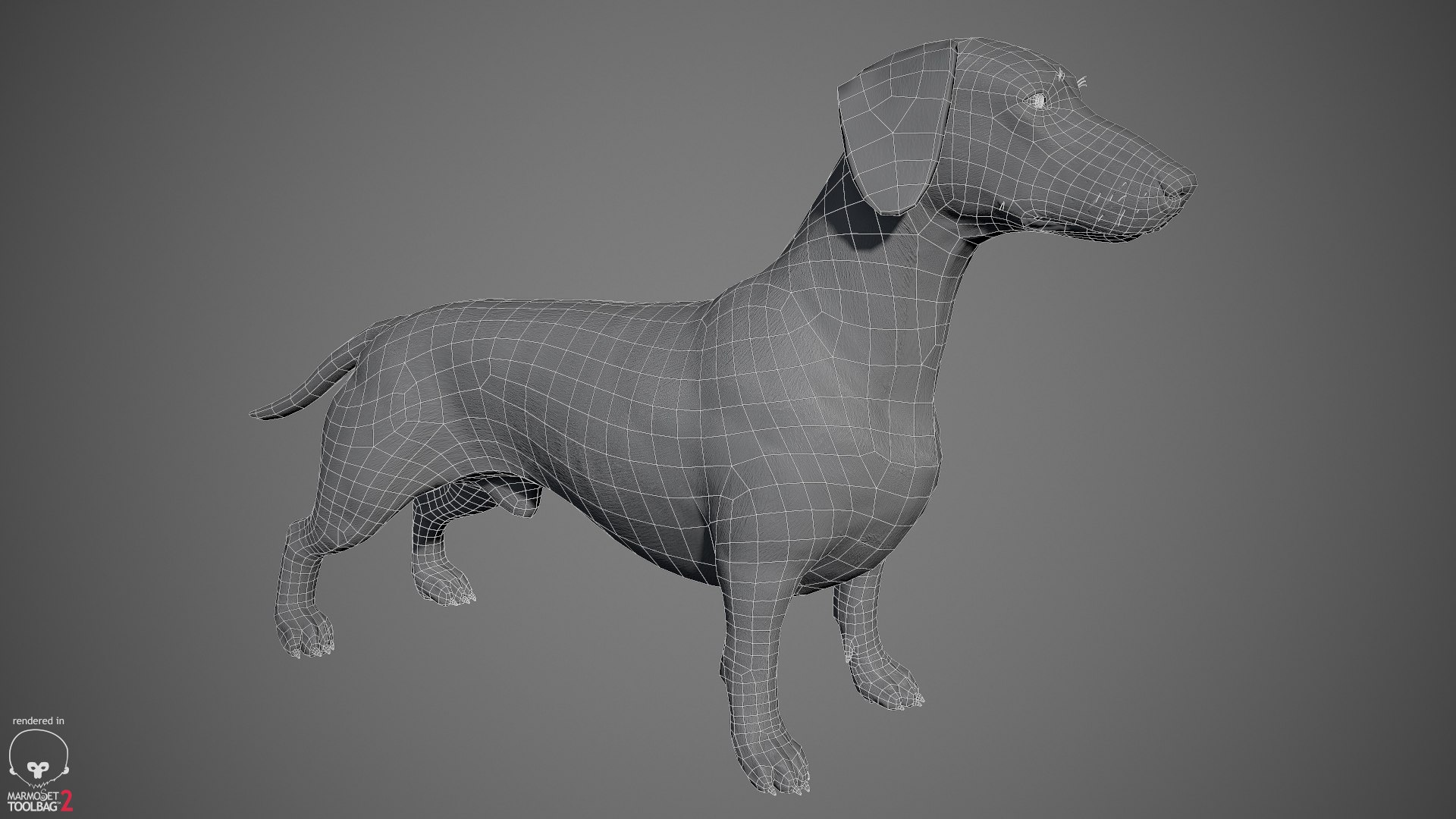realistic dachshund real-time real time 3ds https://p.turbosquid.com/ts-thumb/L6/Bp36BB/MKNNwnKM/dachshund_by_alexlashko_wireframe_01/jpg/1477032115/1920x1080/fit_q87/fb33e06aff4ac99962e2bf99c8fbcec1e17ef9aa/dachshund_by_alexlashko_wireframe_01.jpg
