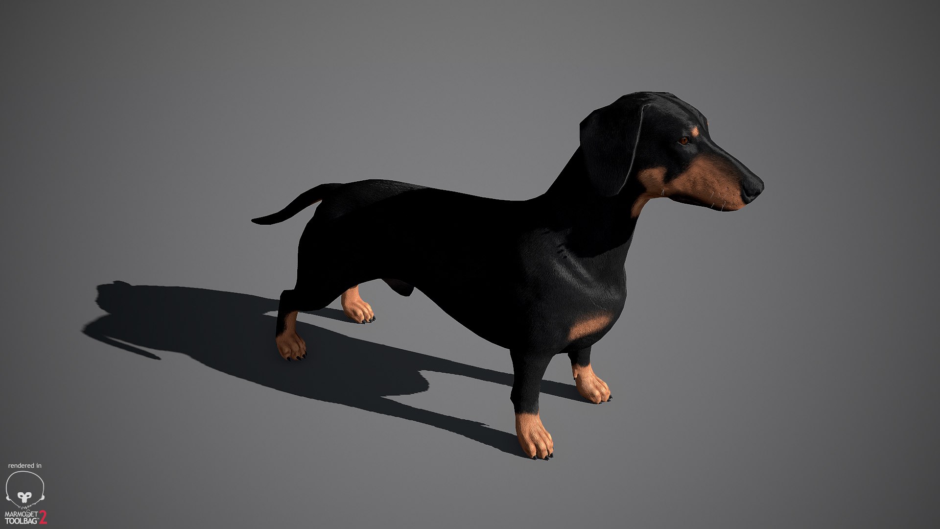 realistic dachshund real-time real time 3ds https://p.turbosquid.com/ts-thumb/L6/Bp36BB/OaCMWdqA/dachshund_by_alexlashko_marmoset_12/jpg/1477031085/1920x1080/fit_q87/e6f0be65a9e9eb7cbb7ab5243f1979a6c3b33d27/dachshund_by_alexlashko_marmoset_12.jpg