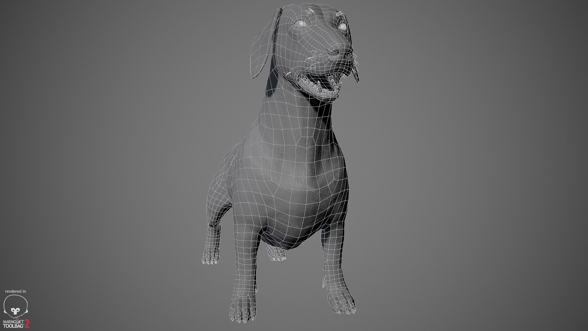 realistic dachshund real-time real time 3ds https://p.turbosquid.com/ts-thumb/L6/Bp36BB/SNQMkdKW/dachshund_by_alexlashko_wireframe_03/jpg/1477032115/1920x1080/fit_q87/514e420621a6d57aea10be77526978ca9905417e/dachshund_by_alexlashko_wireframe_03.jpg