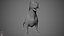 Dachshund Real-Time