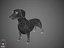 Dachshund Real-Time