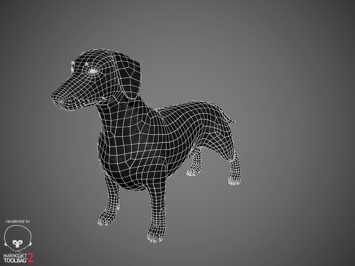 realistic dachshund real-time real time 3ds https://p.turbosquid.com/ts-thumb/L6/Bp36BB/VNGnK1jJ/dachshund_by_alexlashko_wires/jpg/1477327139/1920x1080/turn_fit_q99/b44ebfe3b480b691bcd95964682a8254b5f509be/dachshund_by_alexlashko_wires-1.jpg