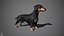 Dachshund Real-Time