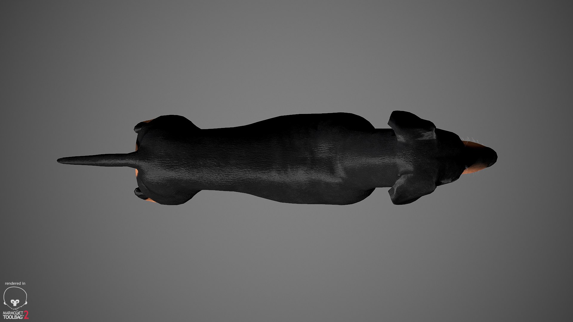 realistic dachshund real-time real time 3ds https://p.turbosquid.com/ts-thumb/L6/Bp36BB/hmIBq8v1/dachshund_by_alexlashko_marmoset_09/jpg/1477031085/1920x1080/fit_q87/f72de122cf313989008a14ae93f999745c1b0633/dachshund_by_alexlashko_marmoset_09.jpg