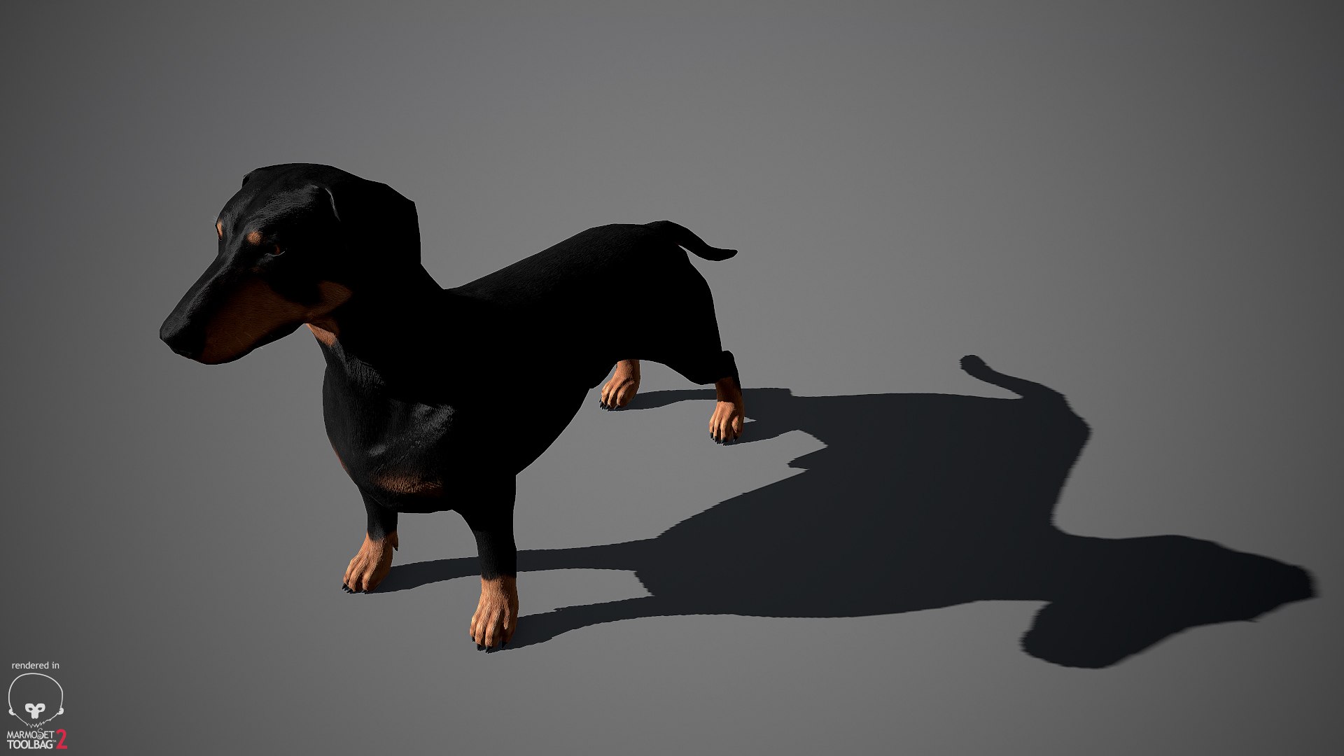 realistic dachshund real-time real time 3ds https://p.turbosquid.com/ts-thumb/L6/Bp36BB/ic4SZAyw/dachshund_by_alexlashko_marmoset_13/jpg/1477031085/1920x1080/fit_q87/ba8900cf6026a382f89d7378daf22617ffd4486b/dachshund_by_alexlashko_marmoset_13.jpg