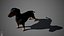 Dachshund Real-Time