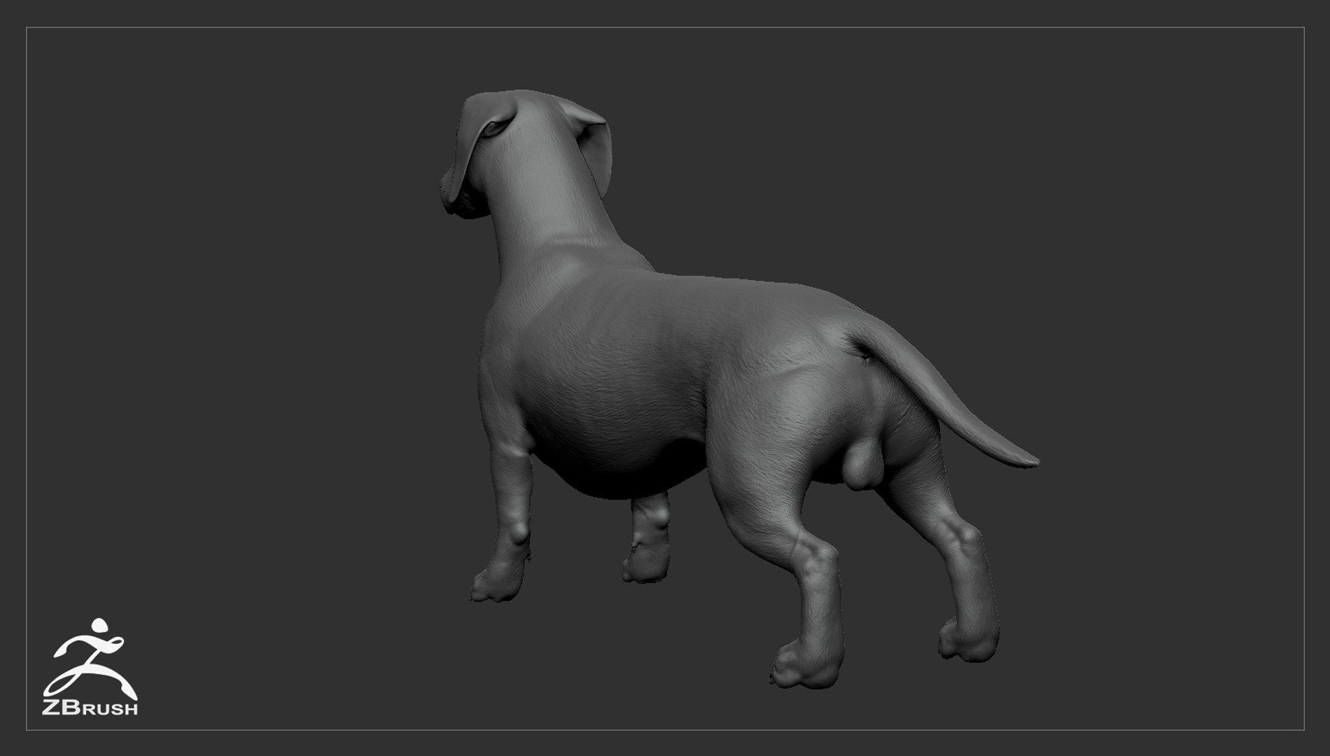 realistic dachshund real-time real time 3ds https://p.turbosquid.com/ts-thumb/L6/Bp36BB/maDfYEBg/dachshund_by_alexlashko_zbrush_05/jpg/1477032229/1920x1080/fit_q87/62c3f6e1e28f50c03d119cc5a66bbddbf6798f20/dachshund_by_alexlashko_zbrush_05.jpg