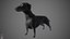 Dachshund Real-Time