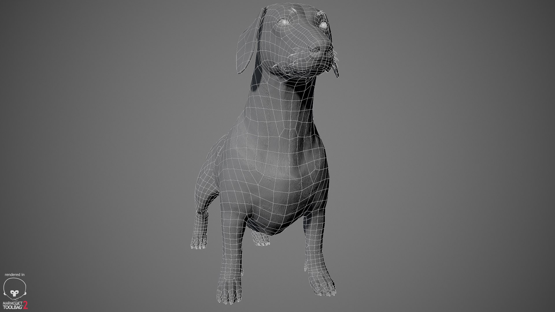 realistic dachshund real-time real time 3ds https://p.turbosquid.com/ts-thumb/L6/Bp36BB/r5nQ94Eb/dachshund_by_alexlashko_wireframe_02/jpg/1477032115/1920x1080/fit_q87/63ca776343fc0f67fde5621a47a26447fad3844a/dachshund_by_alexlashko_wireframe_02.jpg