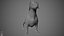 Dachshund Real-Time