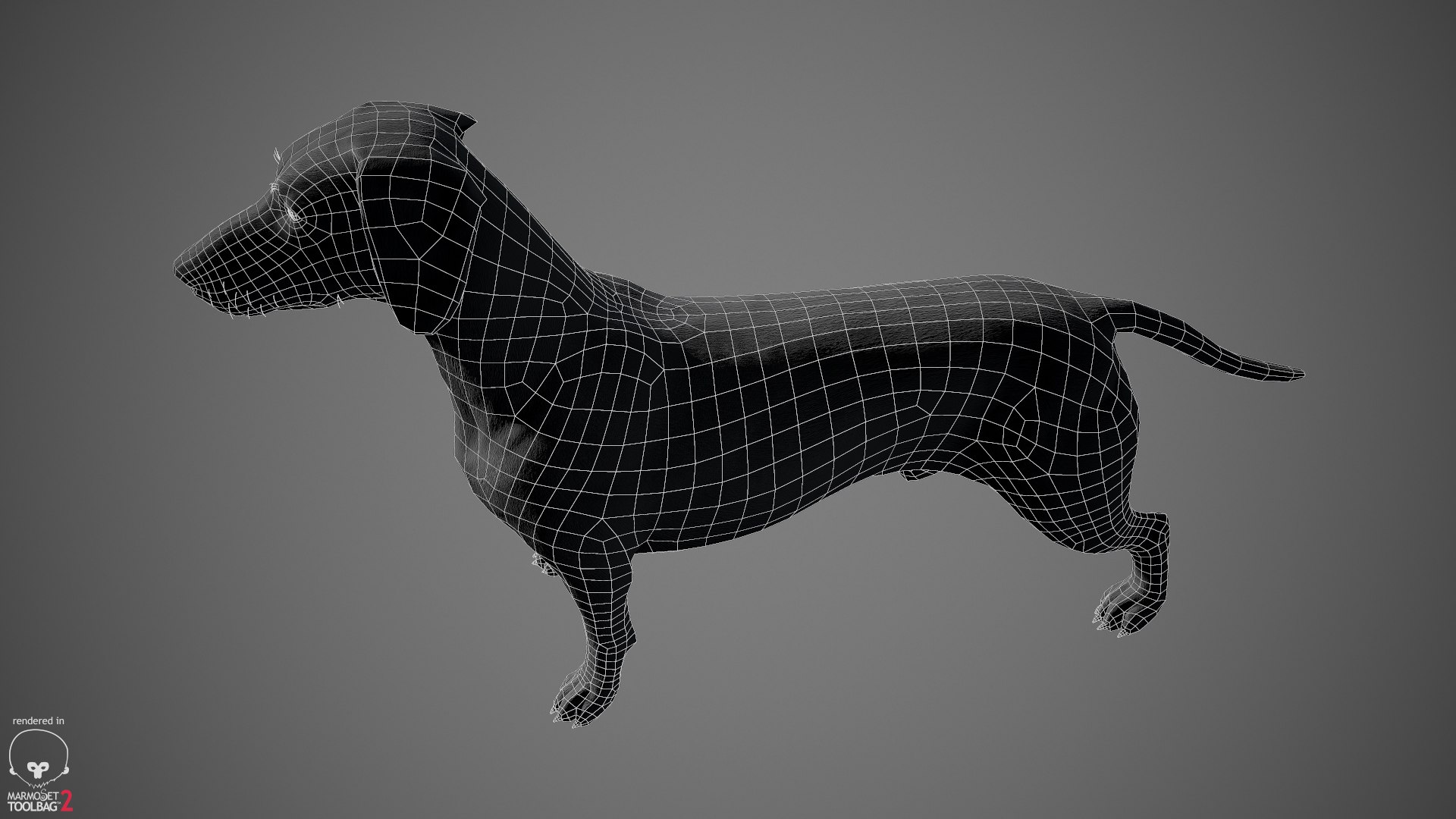 realistic dachshund real-time real time 3ds https://p.turbosquid.com/ts-thumb/L6/Bp36BB/wUPbgID3/dachshund_by_alexlashko_wireframe_05/jpg/1477032115/1920x1080/fit_q87/706964743e810751e0ac1997a5ad038d78eb8118/dachshund_by_alexlashko_wireframe_05.jpg