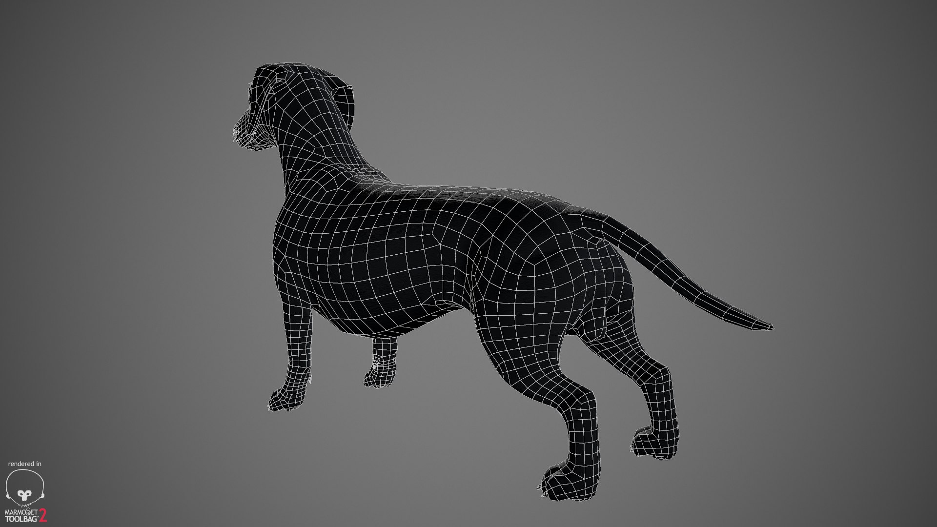 realistic dachshund real-time real time 3ds https://p.turbosquid.com/ts-thumb/L6/Bp36BB/yVNY2aUK/dachshund_by_alexlashko_wireframe_06/jpg/1477032115/1920x1080/fit_q87/914de266df022120e229df9b6f75f6188d02d1d9/dachshund_by_alexlashko_wireframe_06.jpg