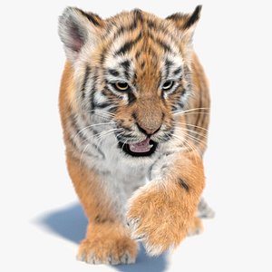 3D Rigged Tiger Cub 3D Model Fur