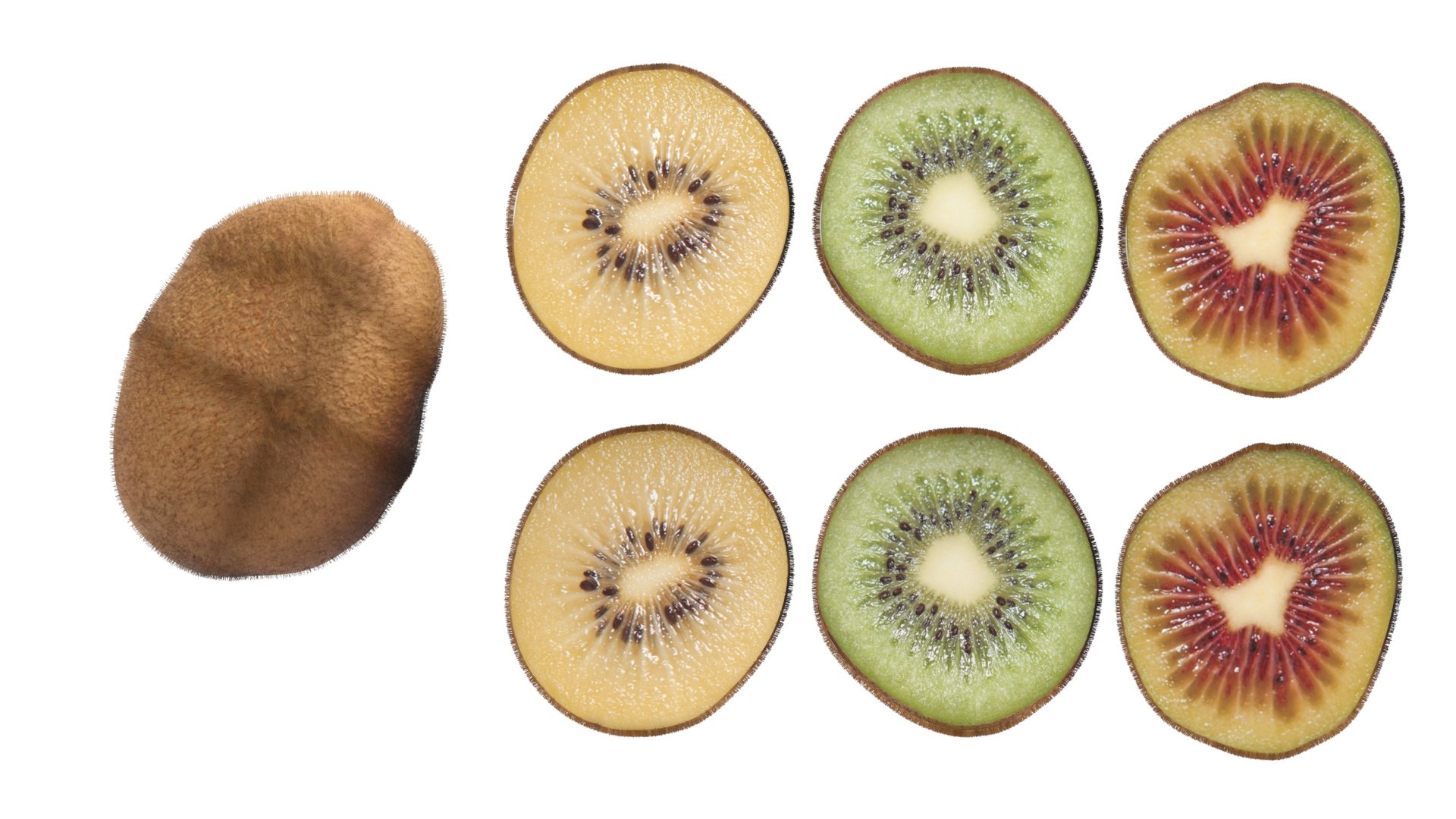3D model Kiwi Fruit With Fur https://p.turbosquid.com/ts-thumb/L6/XvPKIy/5m/kiwifruitssetnew22/jpg/1717572506/1920x1080/fit_q87/2cb6d9981430cbc19c674a3f35872fe600c3e521/kiwifruitssetnew22.jpg
