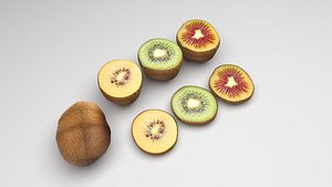 3D model Kiwi Fruit With Fur