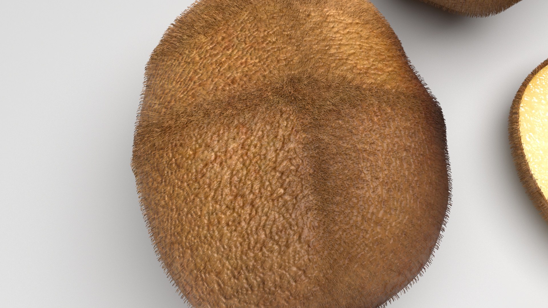 3D model Kiwi Fruit With Fur https://p.turbosquid.com/ts-thumb/L6/XvPKIy/76/kiwifruitssetnew6/jpg/1717572514/1920x1080/fit_q87/0eebc468183cf55b9739c176f7b63a403a31b690/kiwifruitssetnew6.jpg