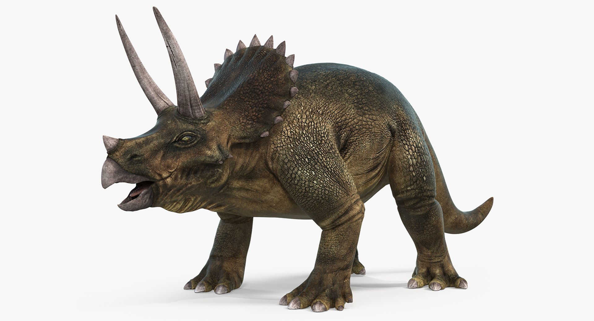 Rigged Herbivorous Dinosaurs Collection 2 3D model https://p.turbosquid.com/ts-thumb/L6/geCMEo/1i/triceratopsrigged3dsmodel028/jpg/1759149637/1920x1080/fit_q87/70033b6cfdd50dd86ffdea07723b6a469c80404e/triceratopsrigged3dsmodel028.jpg